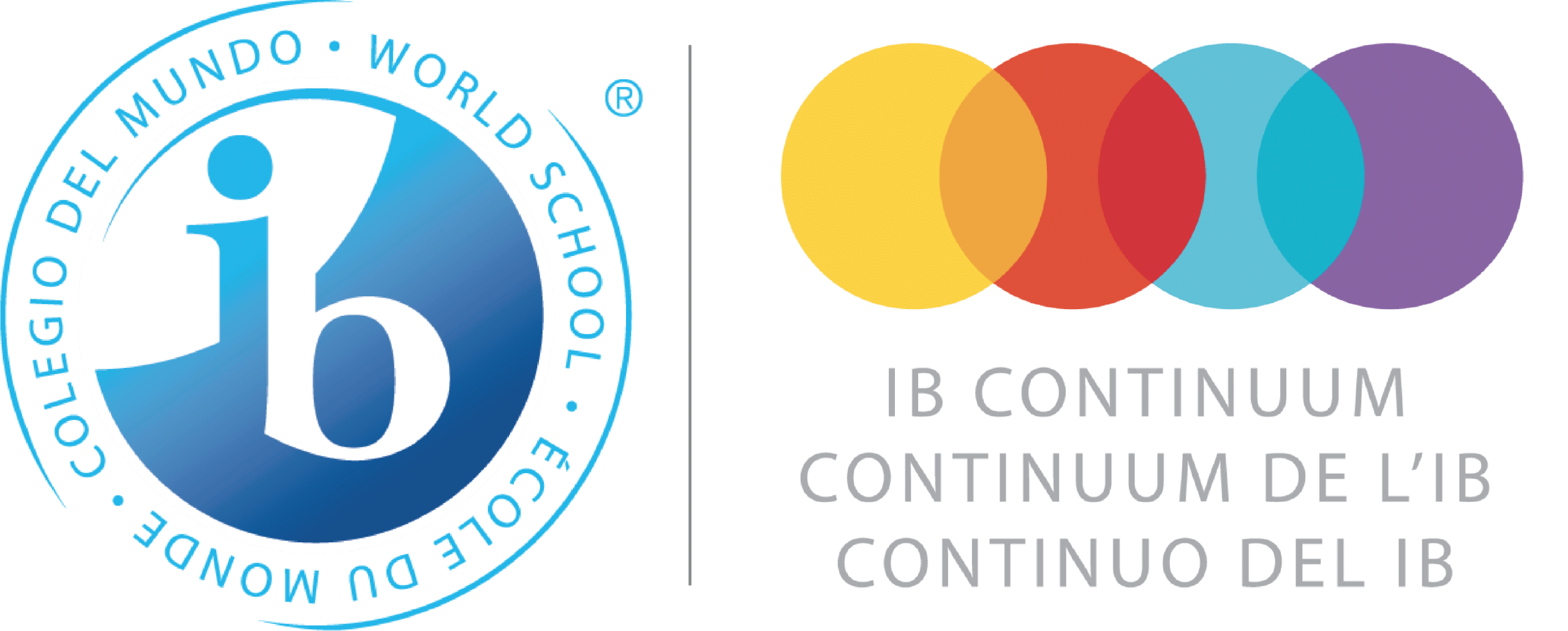 IB-Logo IB Continuum School